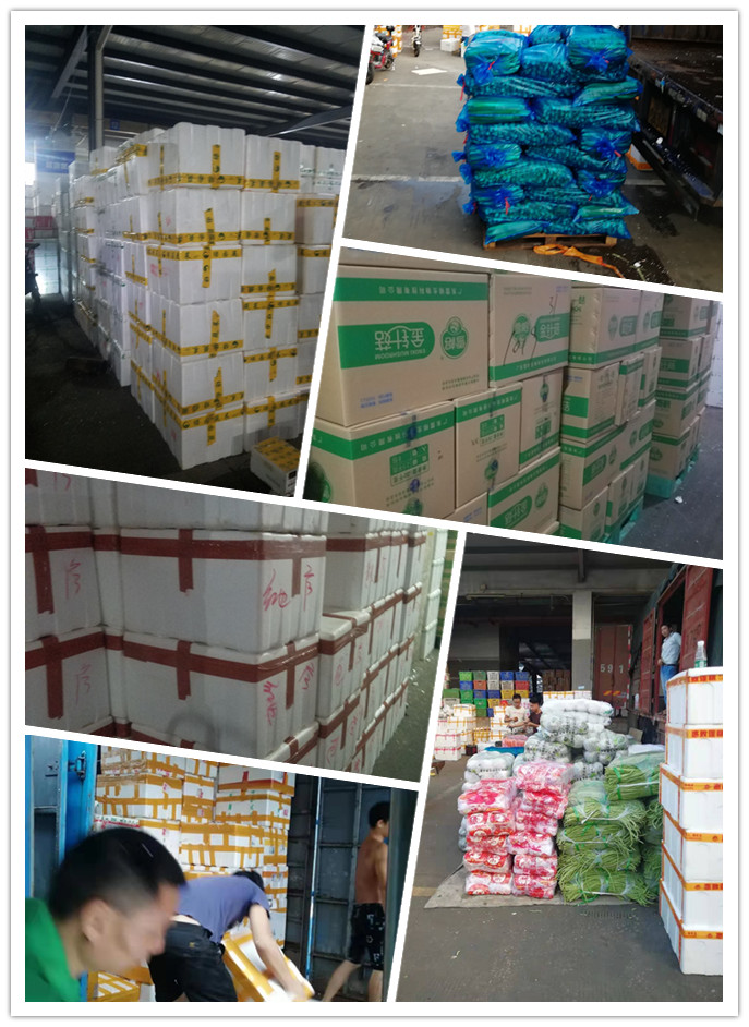 首页- 新宝GG集团创造事业平台