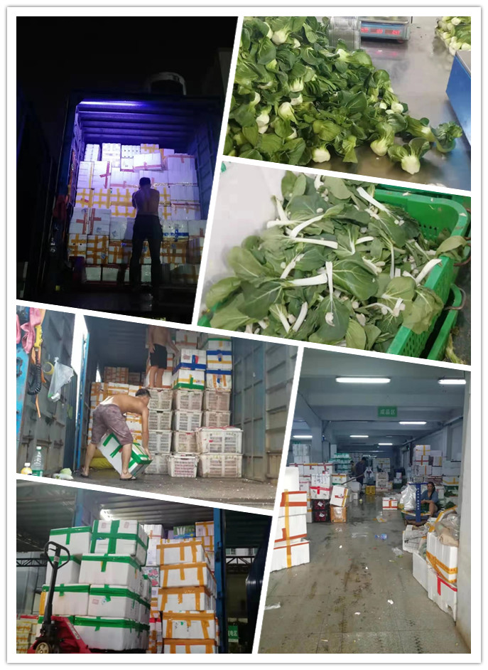 首页- 新宝GG集团创造事业平台