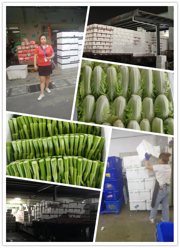 首页- 新宝GG集团创造事业平台