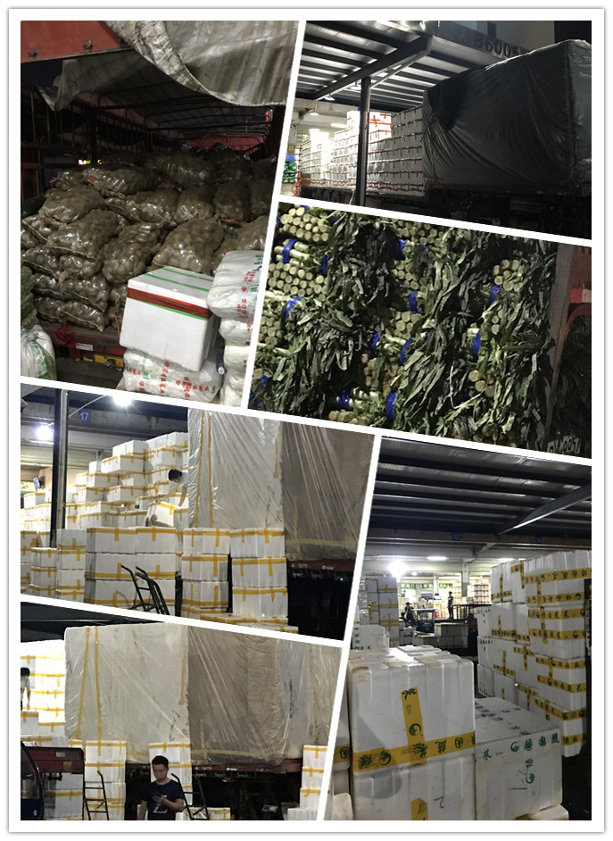 首页- 新宝GG集团创造事业平台