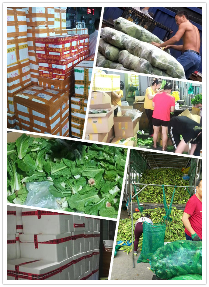 首页- 新宝GG集团创造事业平台