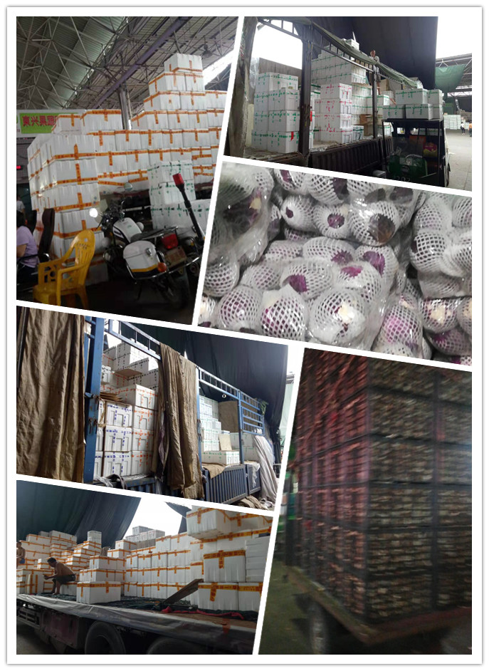 首页- 新宝GG集团创造事业平台