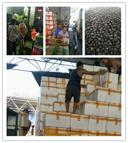 首页- 新宝GG集团创造事业平台