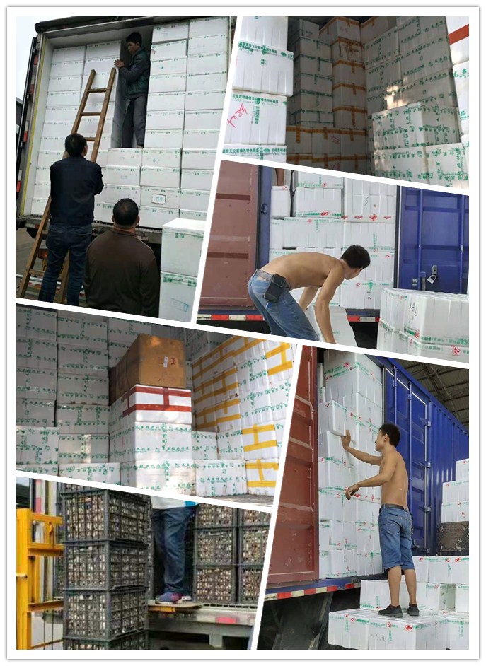 首页- 新宝GG集团创造事业平台