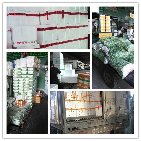 首页- 新宝GG集团创造事业平台