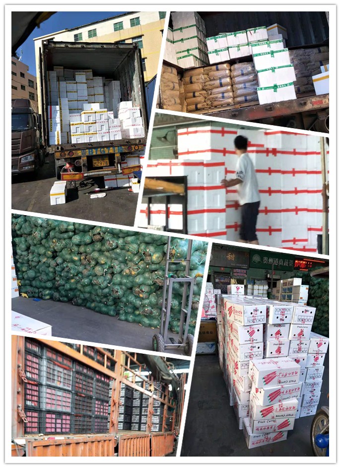 首页- 新宝GG集团创造事业平台