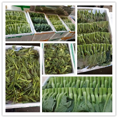 首页- 新宝GG集团创造事业平台