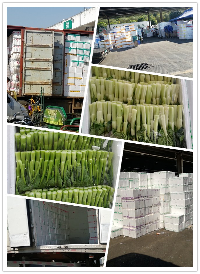 首页- 新宝GG集团创造事业平台