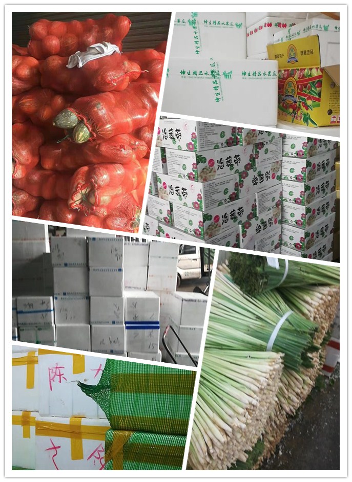 首页- 新宝GG集团创造事业平台