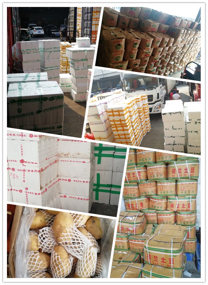 首页- 新宝GG集团创造事业平台