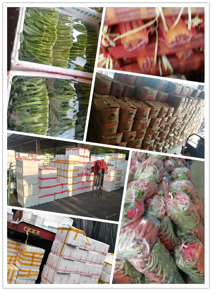 首页- 新宝GG集团创造事业平台