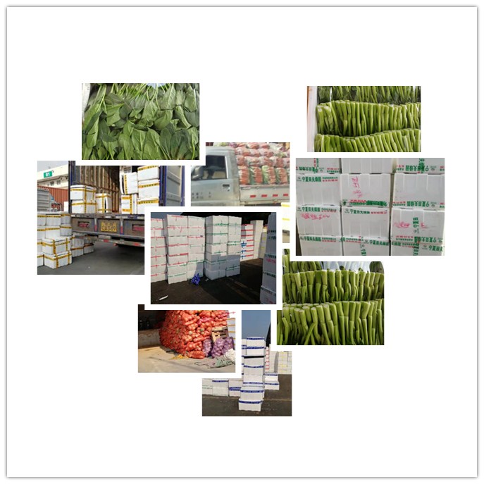 首页- 新宝GG集团创造事业平台