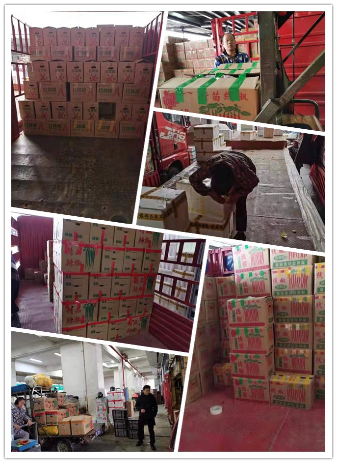 首页- 新宝GG集团创造事业平台