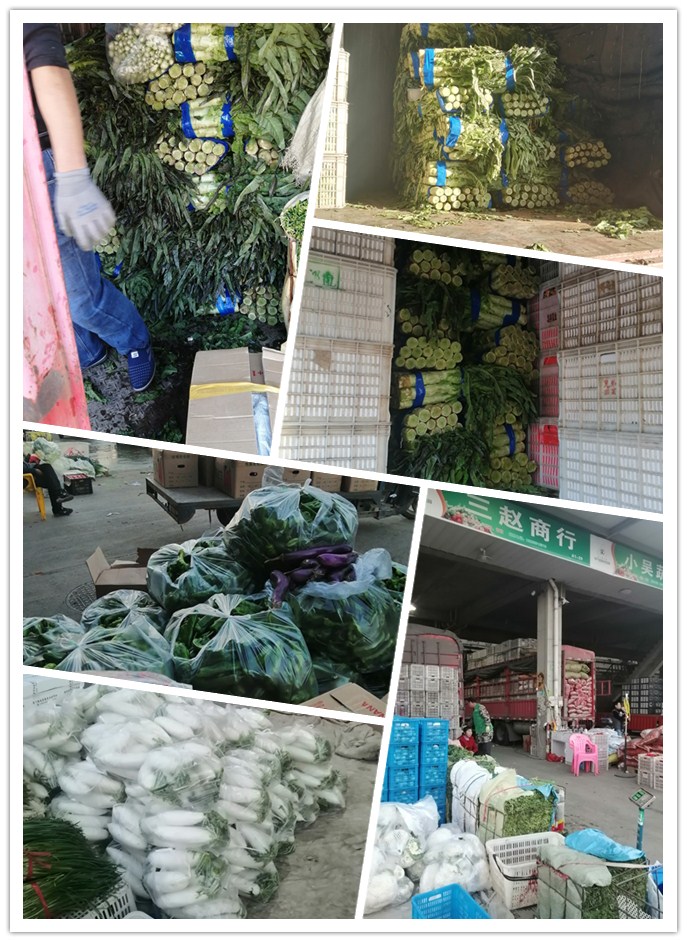 首页- 新宝GG集团创造事业平台