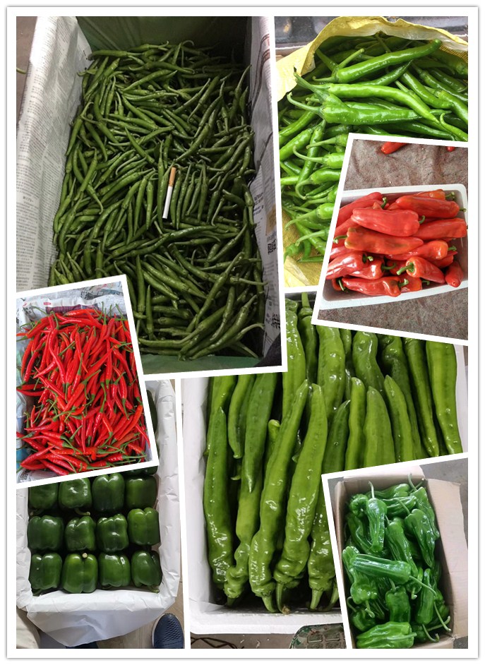 首页- 新宝GG集团创造事业平台