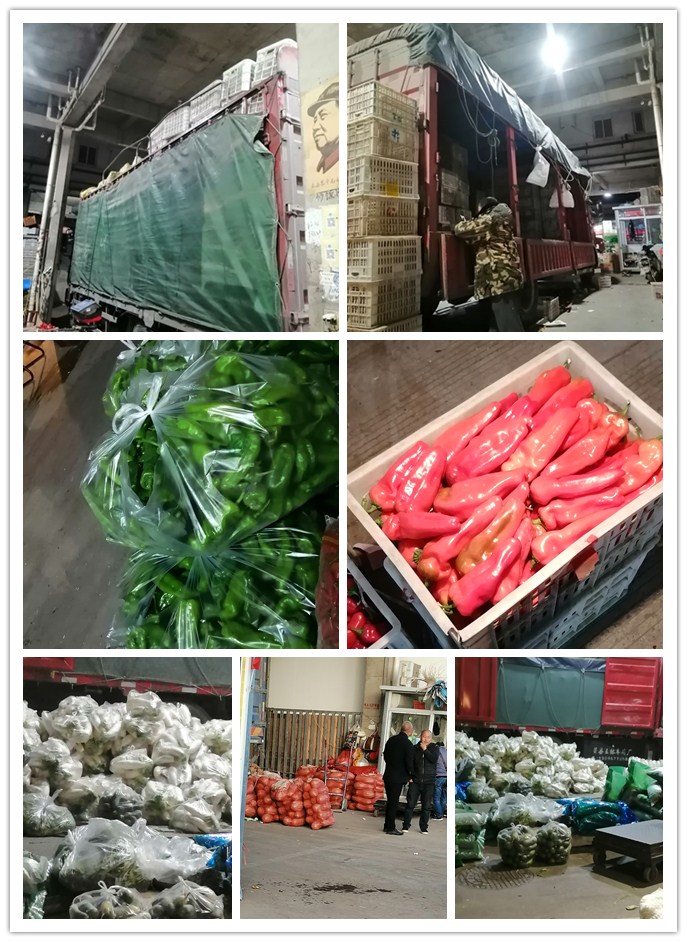 首页- 新宝GG集团创造事业平台