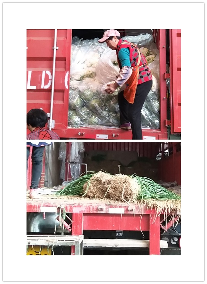 首页- 新宝GG集团创造事业平台