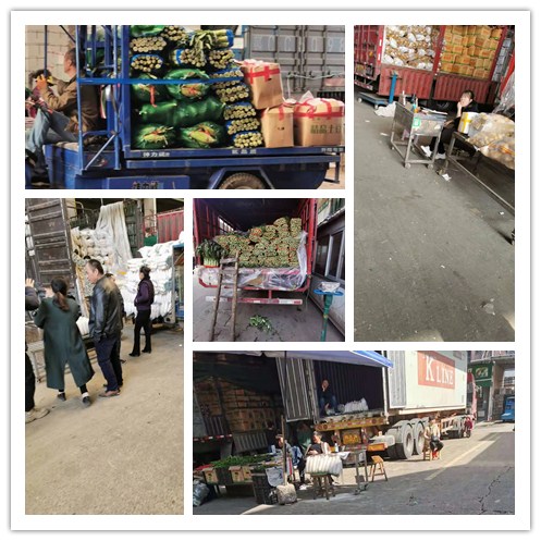 首页- 新宝GG集团创造事业平台