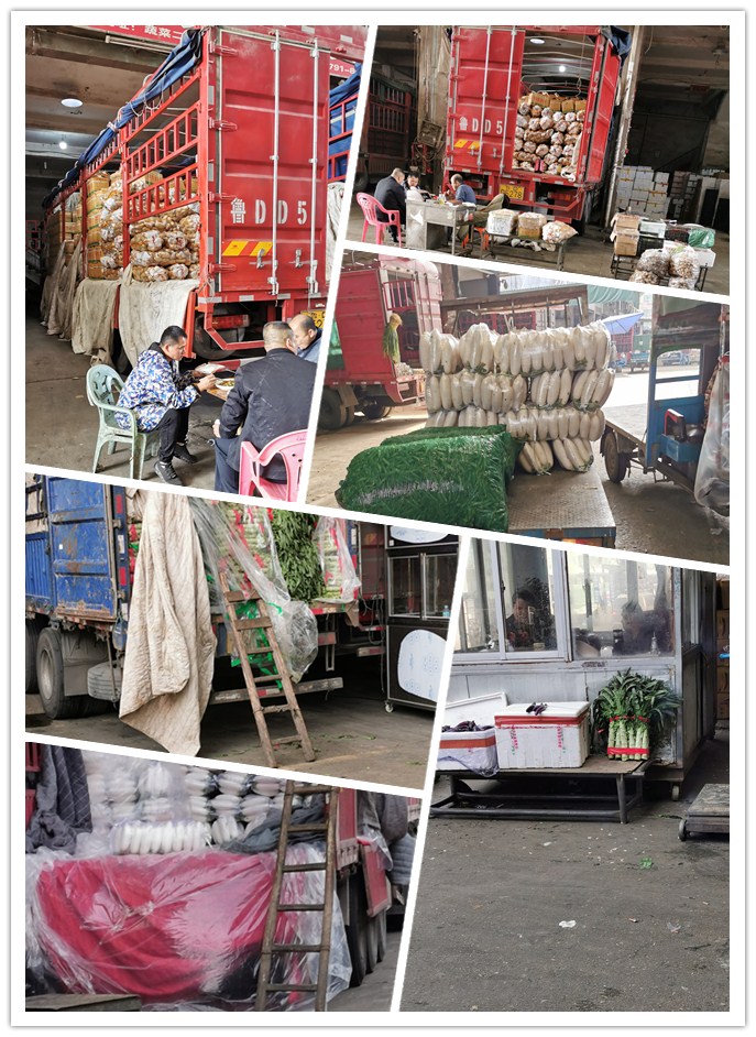 首页- 新宝GG集团创造事业平台