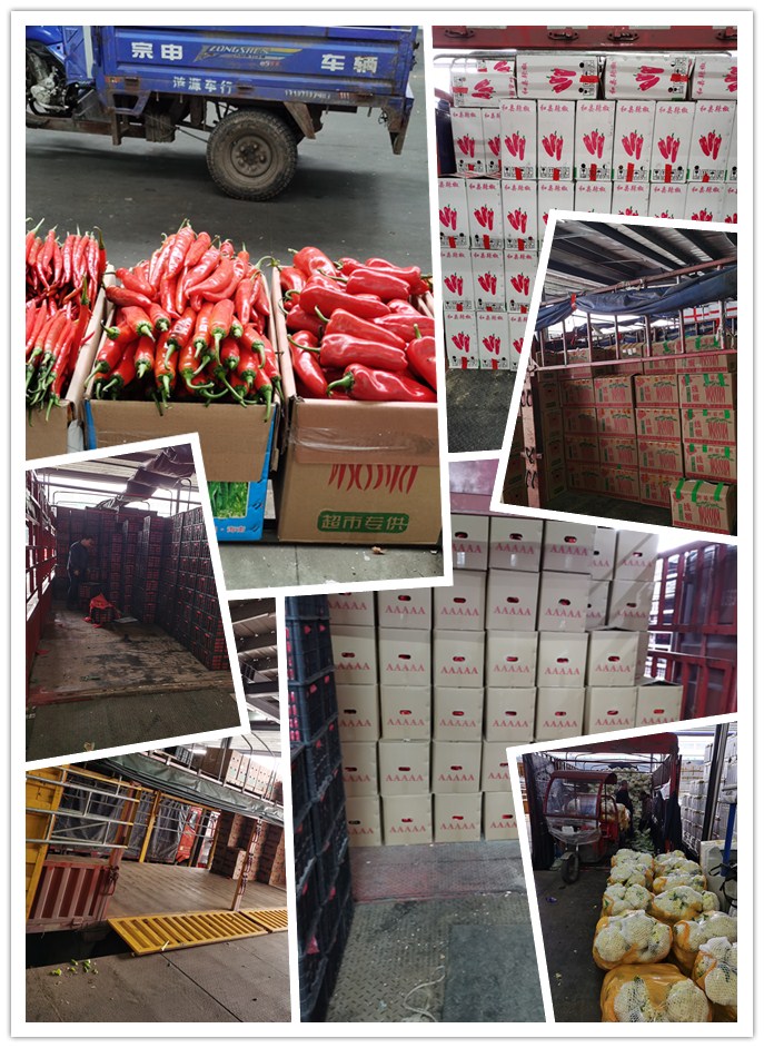 首页- 新宝GG集团创造事业平台