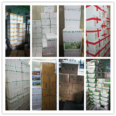 首页- 新宝GG集团创造事业平台