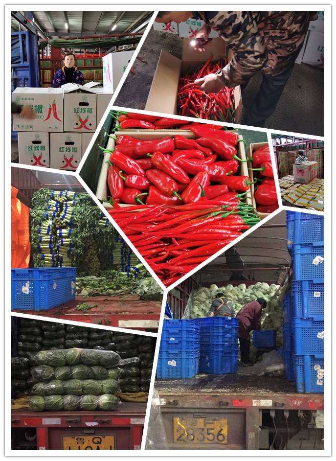 首页- 新宝GG集团创造事业平台