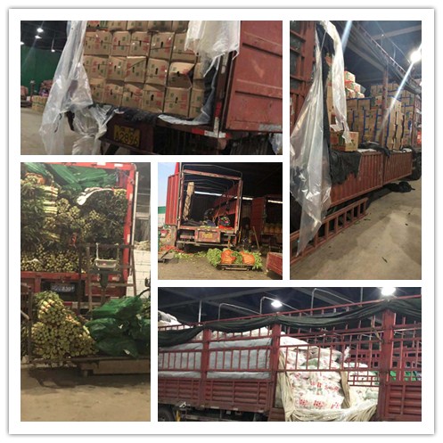 首页- 新宝GG集团创造事业平台