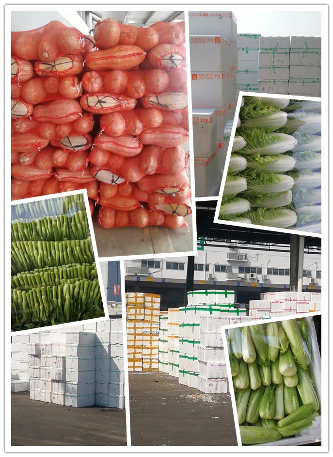 首页- 新宝GG集团创造事业平台