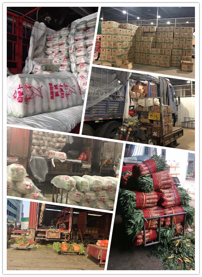 首页- 新宝GG集团创造事业平台