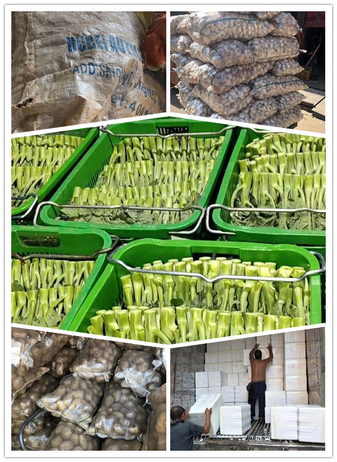 首页- 新宝GG集团创造事业平台