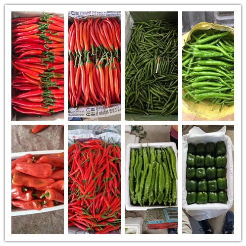 首页- 新宝GG集团创造事业平台