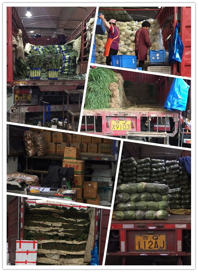 首页- 新宝GG集团创造事业平台