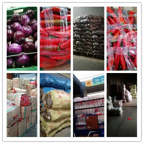 首页- 新宝GG集团创造事业平台