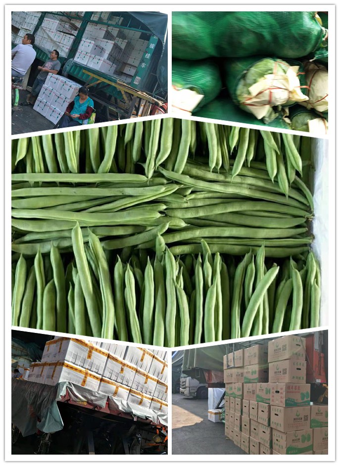 首页- 新宝GG集团创造事业平台