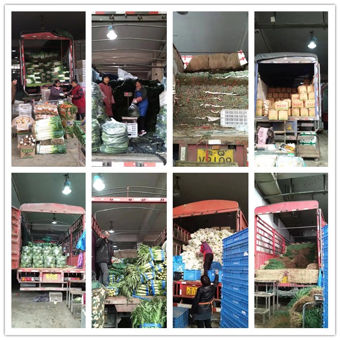 首页- 新宝GG集团创造事业平台