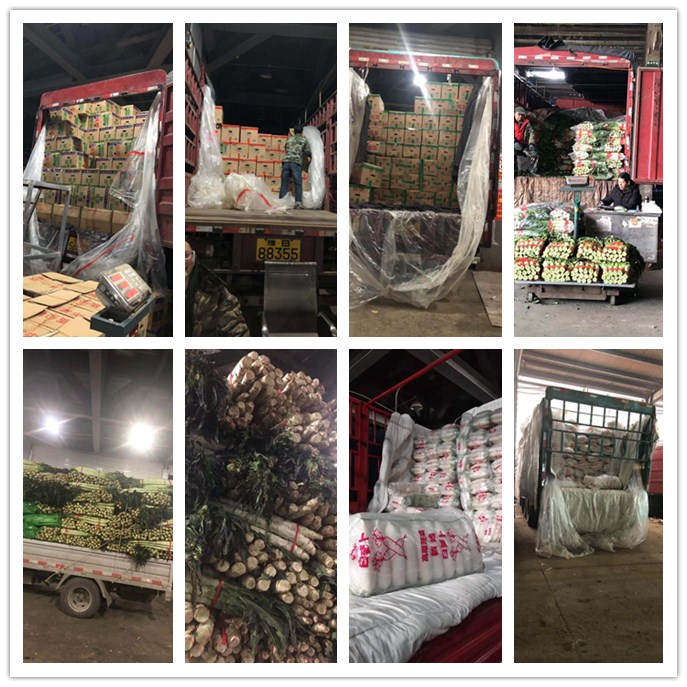 首页- 新宝GG集团创造事业平台