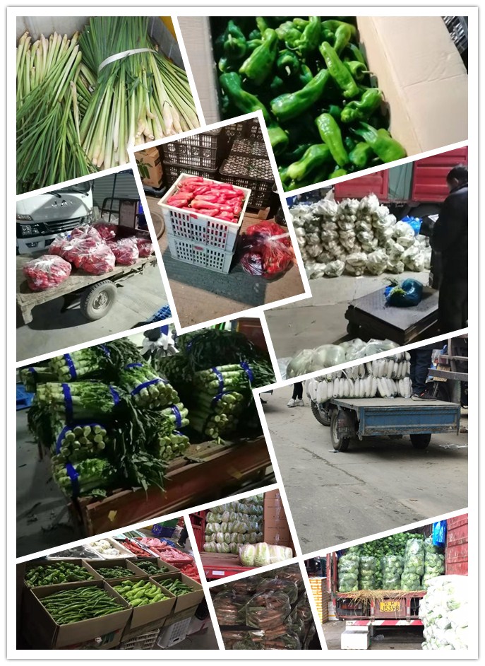 首页- 新宝GG集团创造事业平台