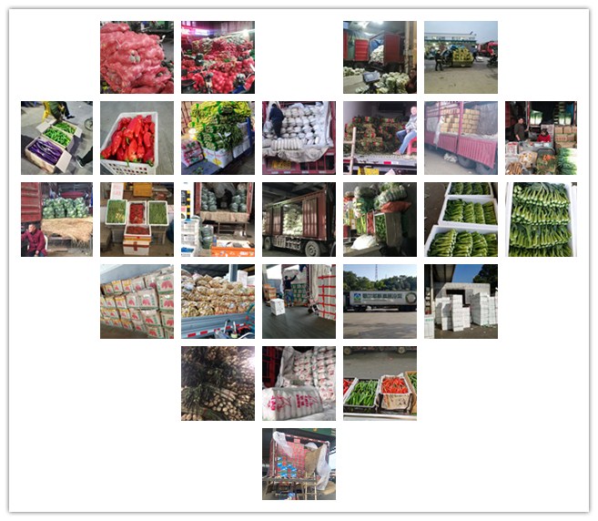 首页- 新宝GG集团创造事业平台