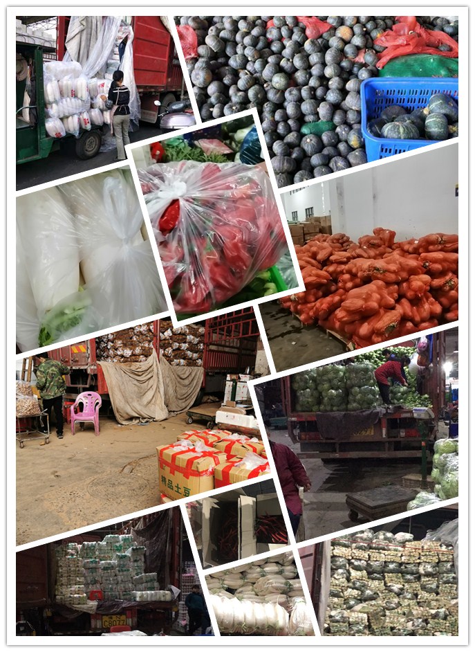 首页- 新宝GG集团创造事业平台