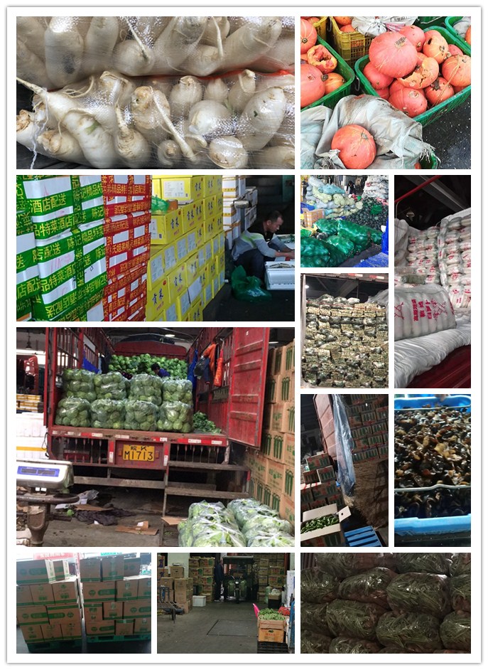 首页- 新宝GG集团创造事业平台