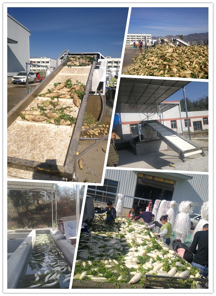 首页- 新宝GG集团创造事业平台