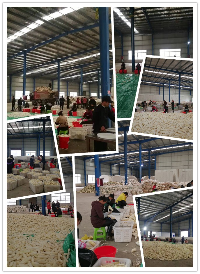 首页- 新宝GG集团创造事业平台