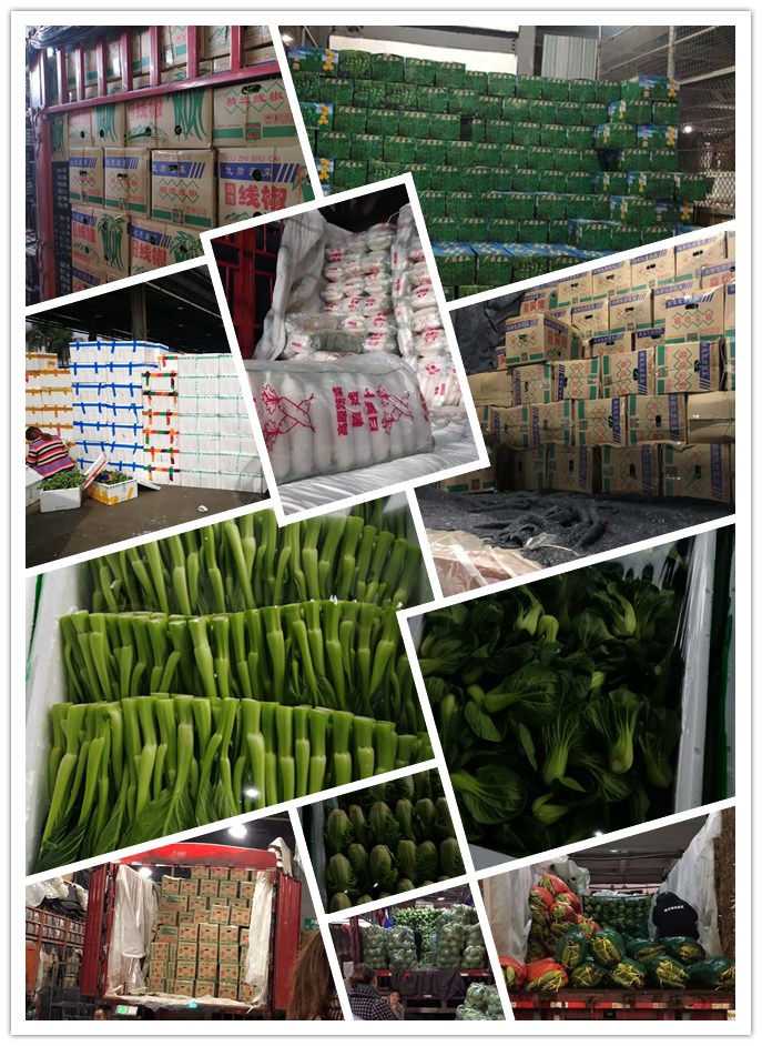 首页- 新宝GG集团创造事业平台