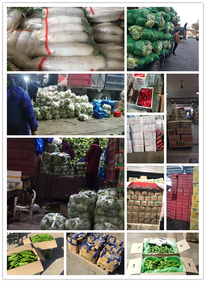 首页- 新宝GG集团创造事业平台