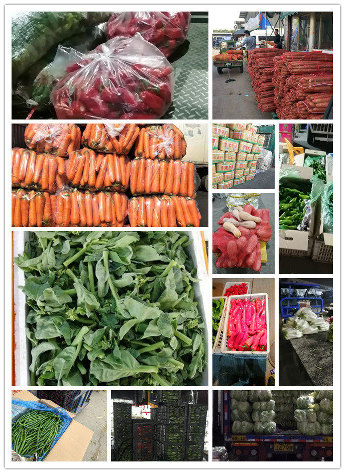 首页- 新宝GG集团创造事业平台