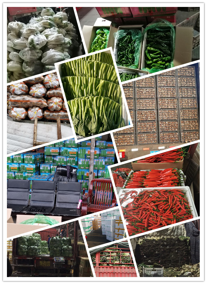 首页- 新宝GG集团创造事业平台