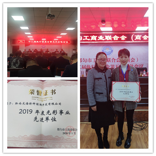 首页- 新宝GG集团创造事业平台