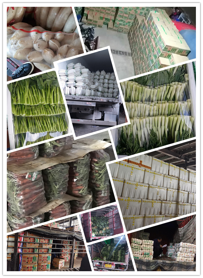 首页- 新宝GG集团创造事业平台