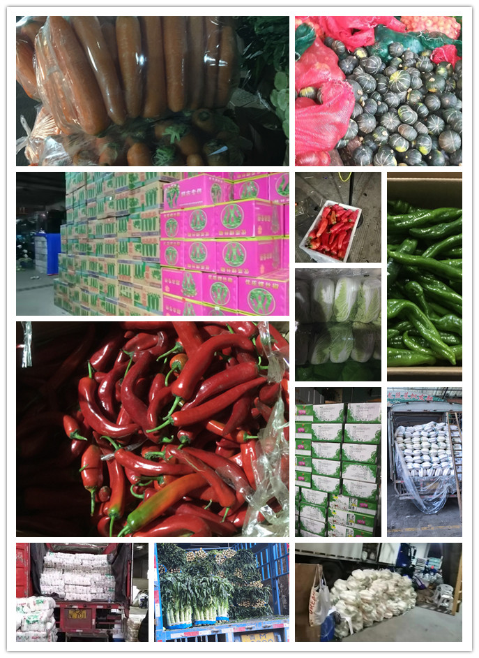 首页- 新宝GG集团创造事业平台