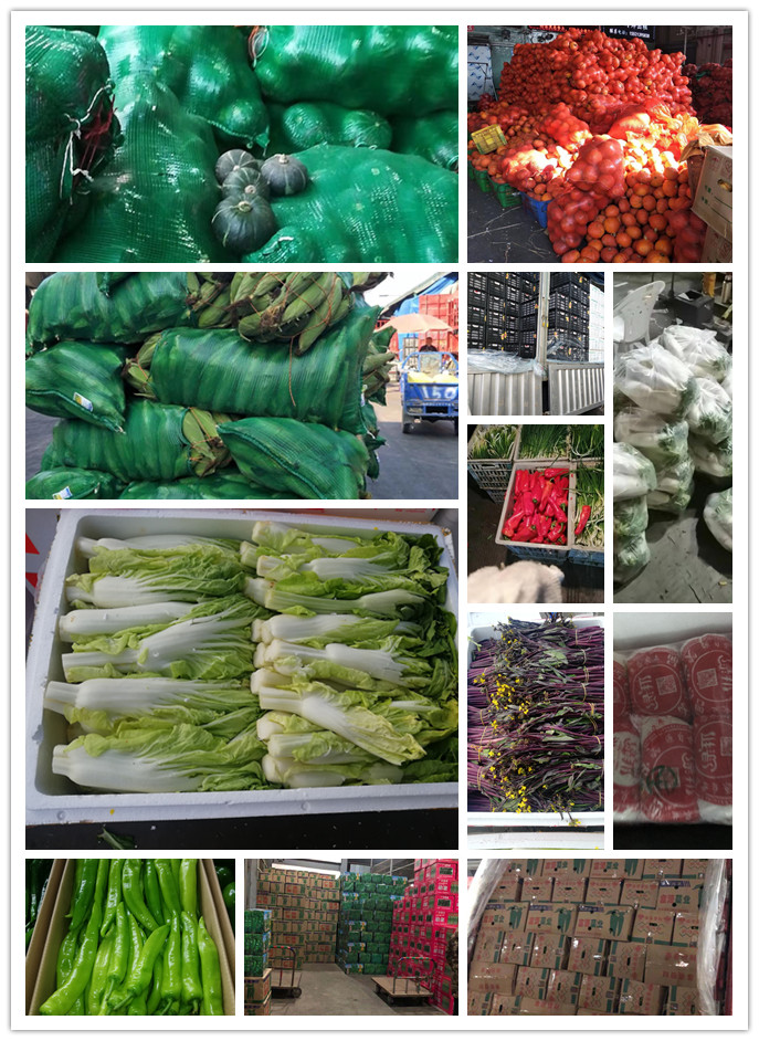 首页- 新宝GG集团创造事业平台